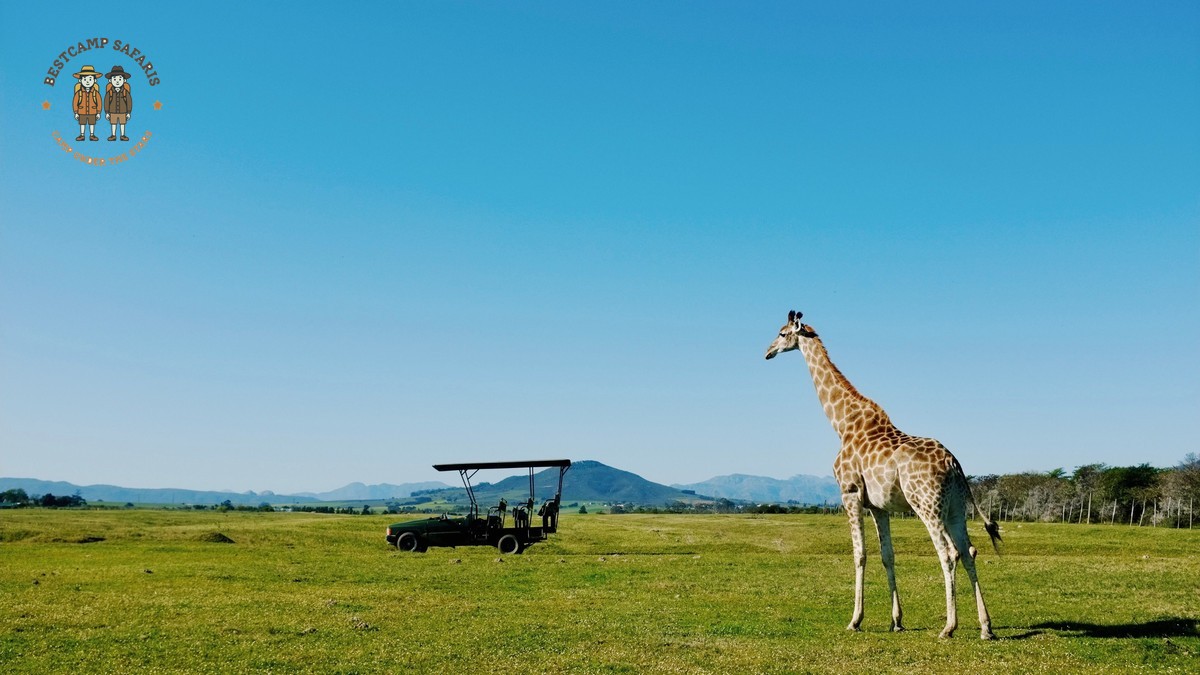 How Do Family Tents Work on a Kenya Safari?