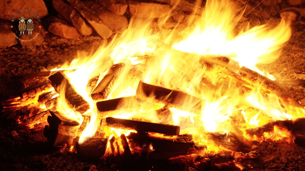How Do Safari Camps Handle Lost Items? BestCamp Tips - photo 1