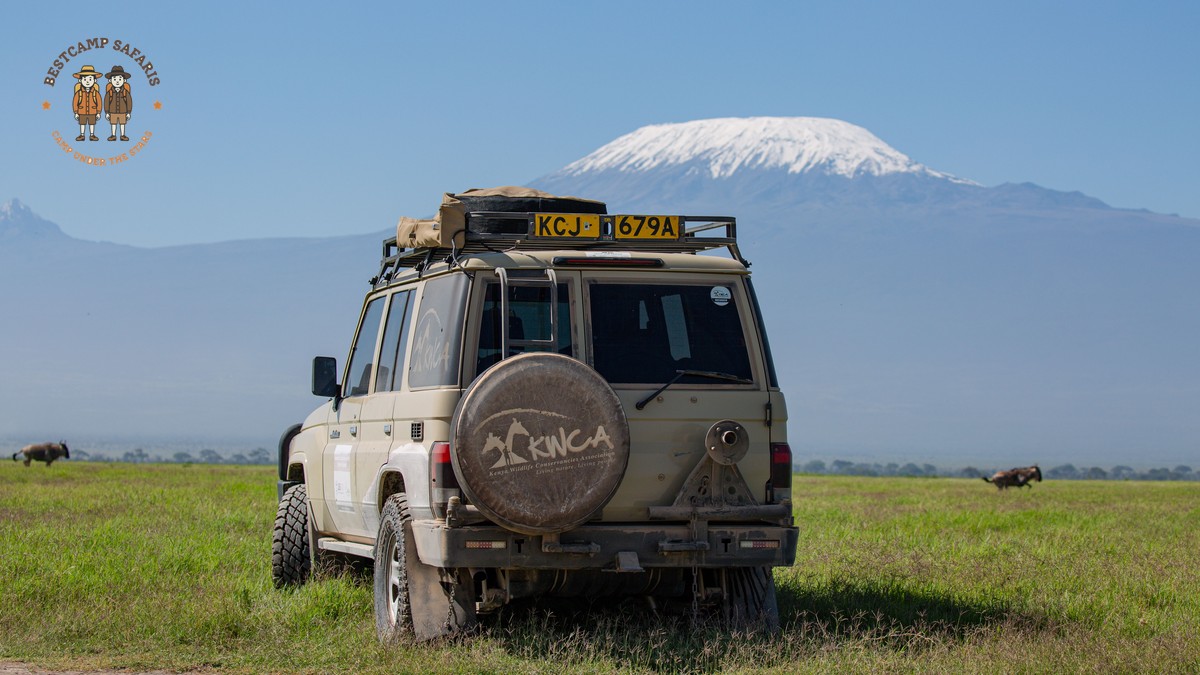 How Many Game Drives Per Day on a Kenya Safari? - photo 2
