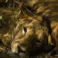 How Many National Parks Does Kenya Actually Have?