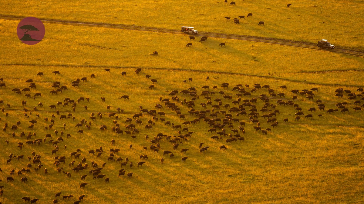 How Many National Parks Does Kenya Actually Have? - photo 1
