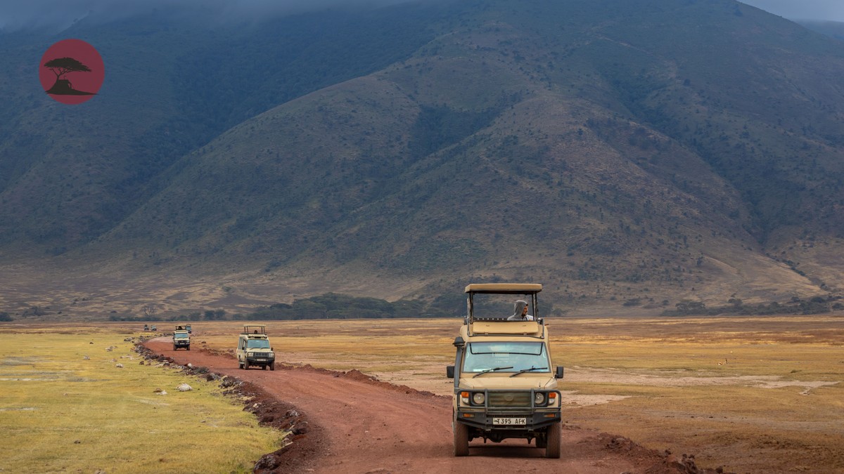 How Many National Parks Does Kenya Actually Have? - photo 2