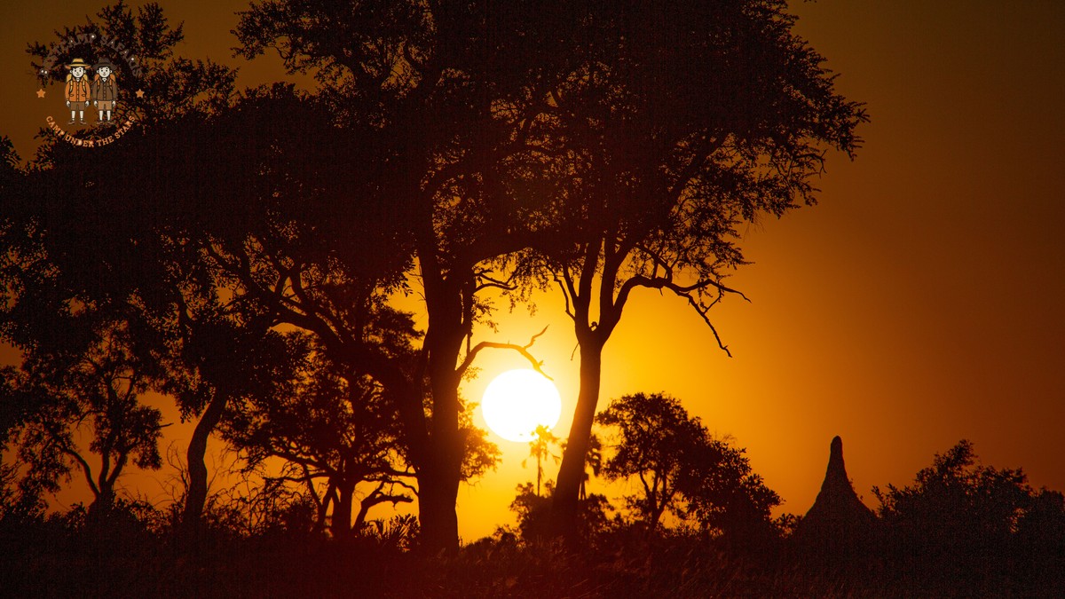 Il Ngwesi Community Conservancy Safari Guide - photo 1