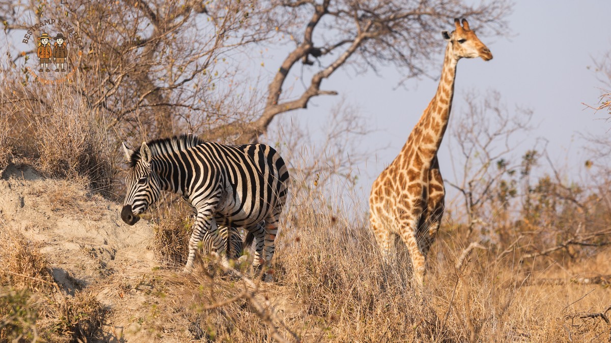 Is a Kenya Safari Safe for Families? A Parent Guide