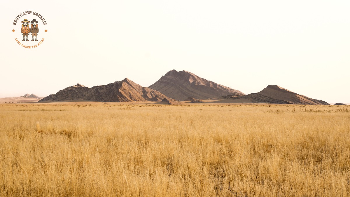 Kenya Safari 8-Day Itinerary: Best Parks for a Full Week - photo 1