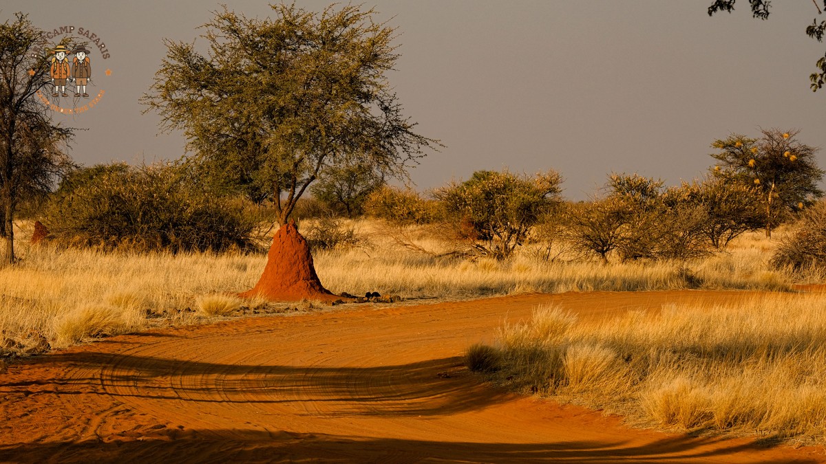 Kenya Safari for Chinese Speaking Travelers: Mandarin Costs - photo 1