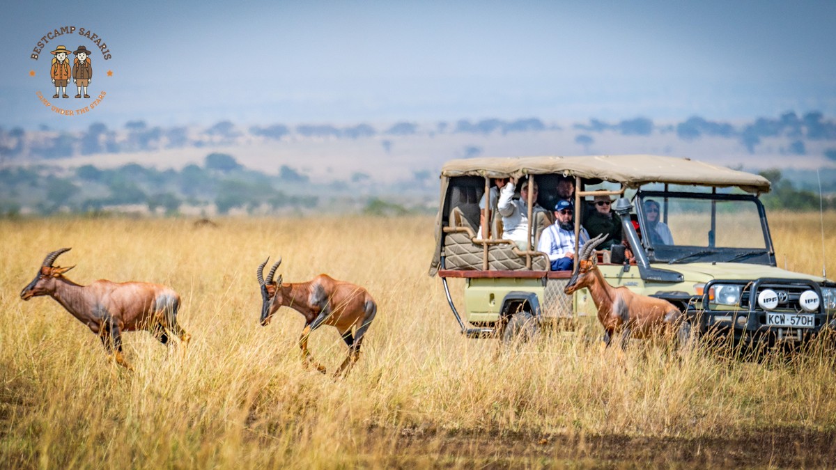 Kenya Safari Circuit Map: How Main Parks Connect - photo 2