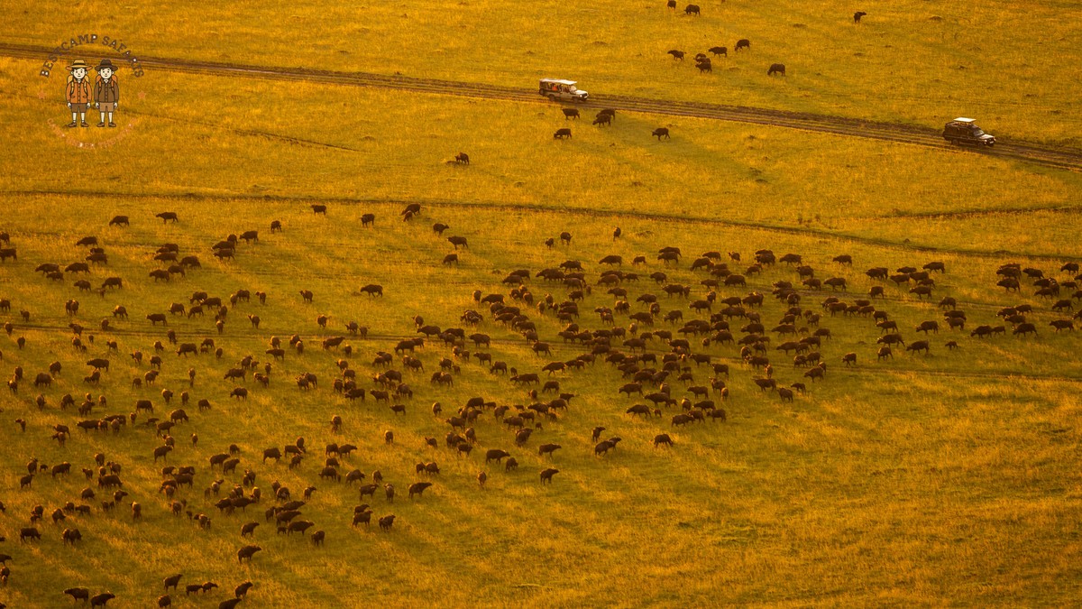 Kenya Safari Conservation Fees: What They Fund - photo 1