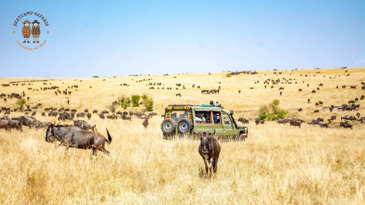 Kenya Safari Cost by Accommodation: $150-$1,500 - photo 2