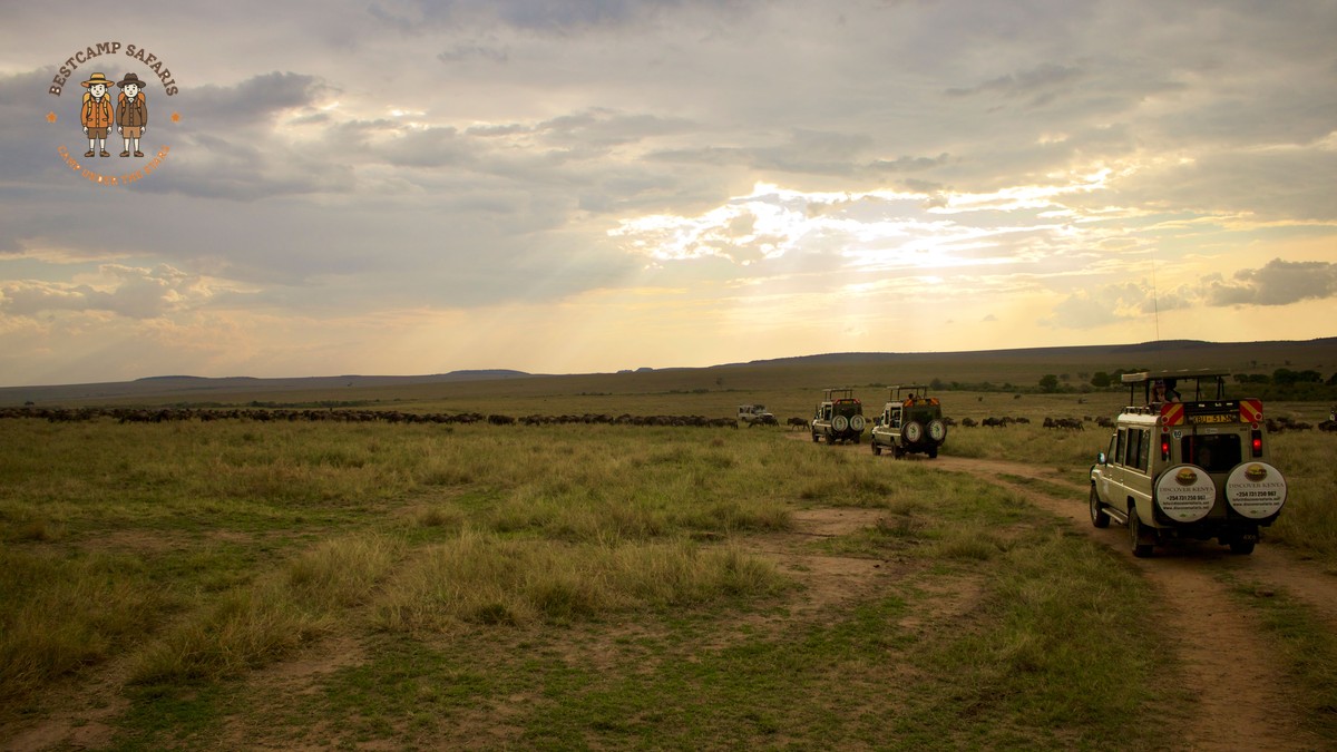 Kenya Safari Documentary Inspiration: Plan Your Trip - photo 2