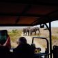 Kenya Safari Family Room Configurations: 4 Best Options -- Photo by Adrien Olichon on Pexels