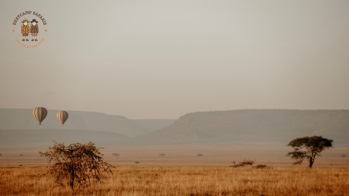 Kenya Safari FAQ for Hungarian Speaking Tourists (2026) - photo 1