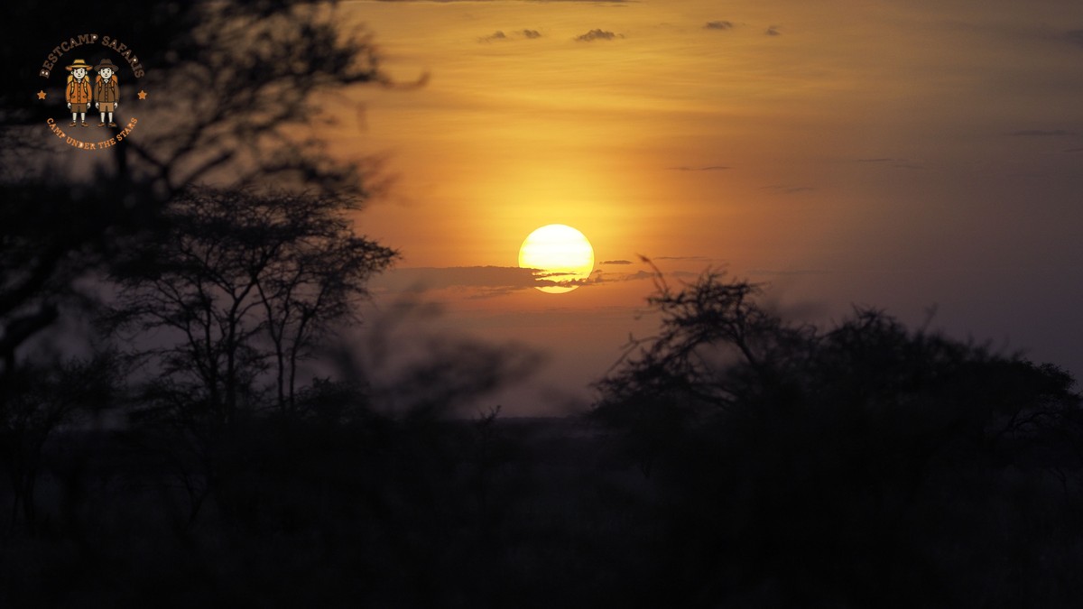 Hindi-Speaking Kenya Safari: 7-Day Itinerary and Costs - photo 1