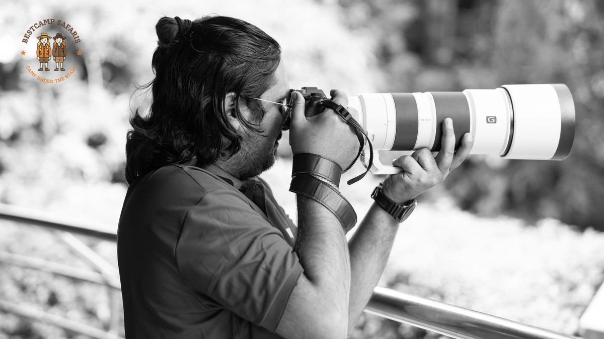 kenya safari migration photography plan: 7-Day Shot List -- Photo by Anil Sharma on Pexels