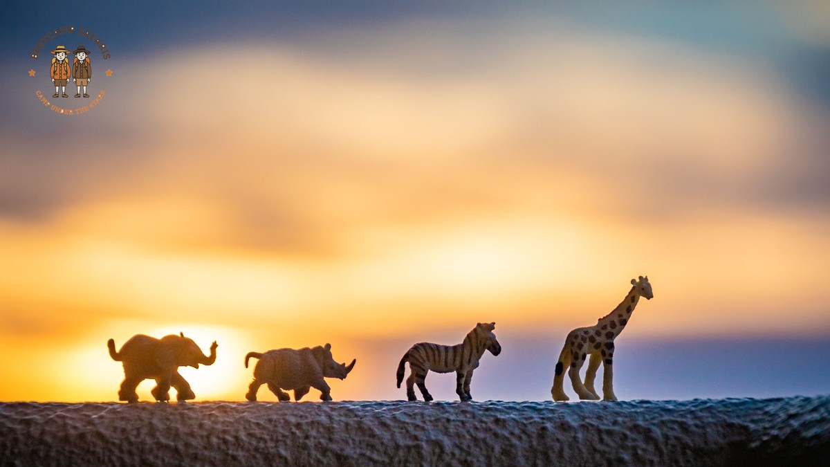 Kenya Safari Park Combinations: Routes That Make Sense