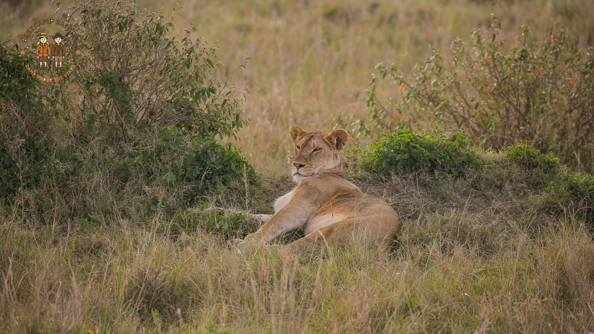 Kenya Safari Park Combinations: Routes That Make Sense - photo 2