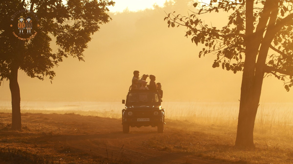 Kenya Safari Predator Photography: Parks, Light, Strategy - photo 1