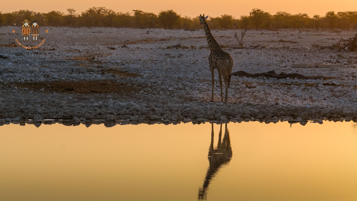 Kenya Safari Price Ranges: $150-$1,500 Per Day in 2026 - photo 1