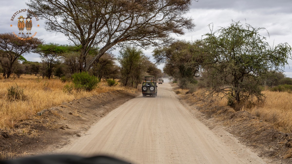 Kenya Safari Road Conditions Guide: What to Expect - photo 2