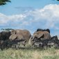 Kenya Safari Shoulder Season Value: 2026 Price Guide