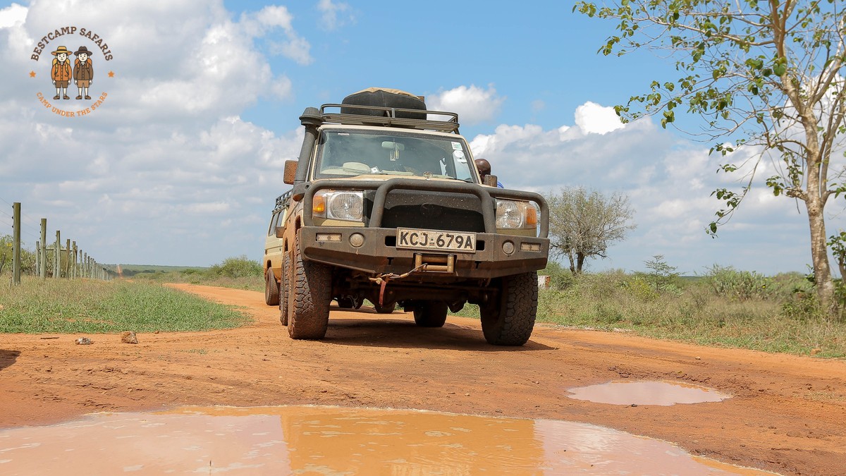 Kenya Safari Shoulder Season Value: 2026 Price Guide - photo 2