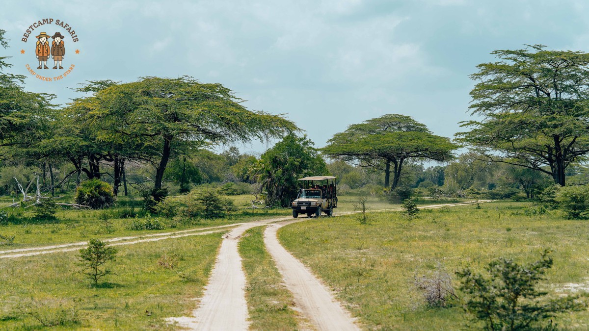 Kenya Safari for Turkish-Speaking Travelers: Costs & eTA - photo 2