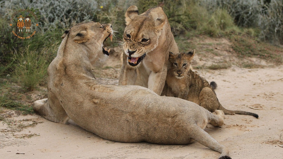 Laikipia Conservancy Mobile Camp: What to Expect - photo 2