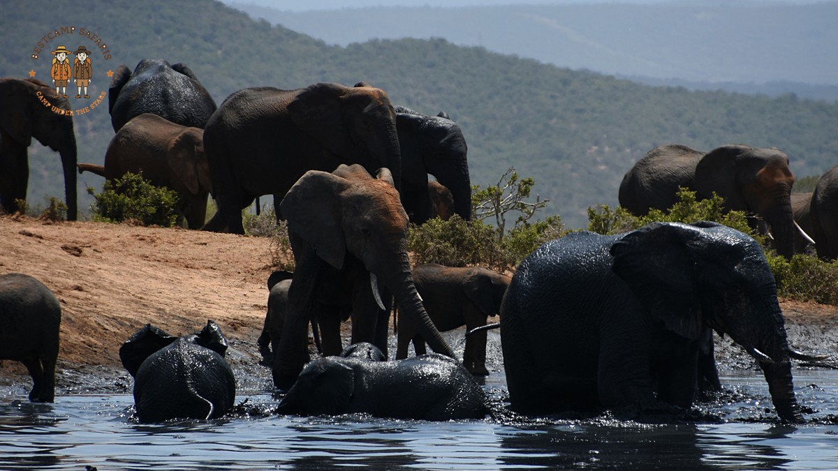 Laikipia vs Samburu Safari: Which Should You Choose? - photo 2
