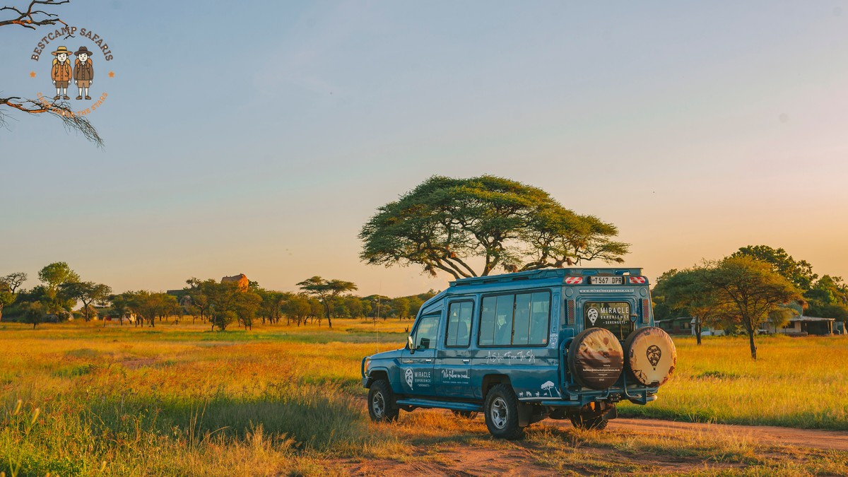 Land Cruiser vs Safari Van: Kenya Comparison Guide - photo 1