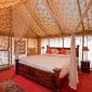 Lion Safety Tented Camp Night: A First-Timer's Guide
