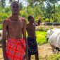 Kenya Safari Guide for Maasai-Speaking Travelers