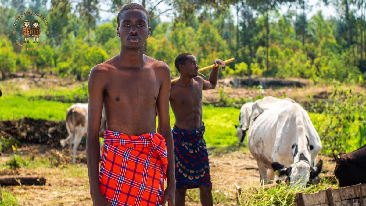 Kenya Safari Guide for Maasai-Speaking Travelers