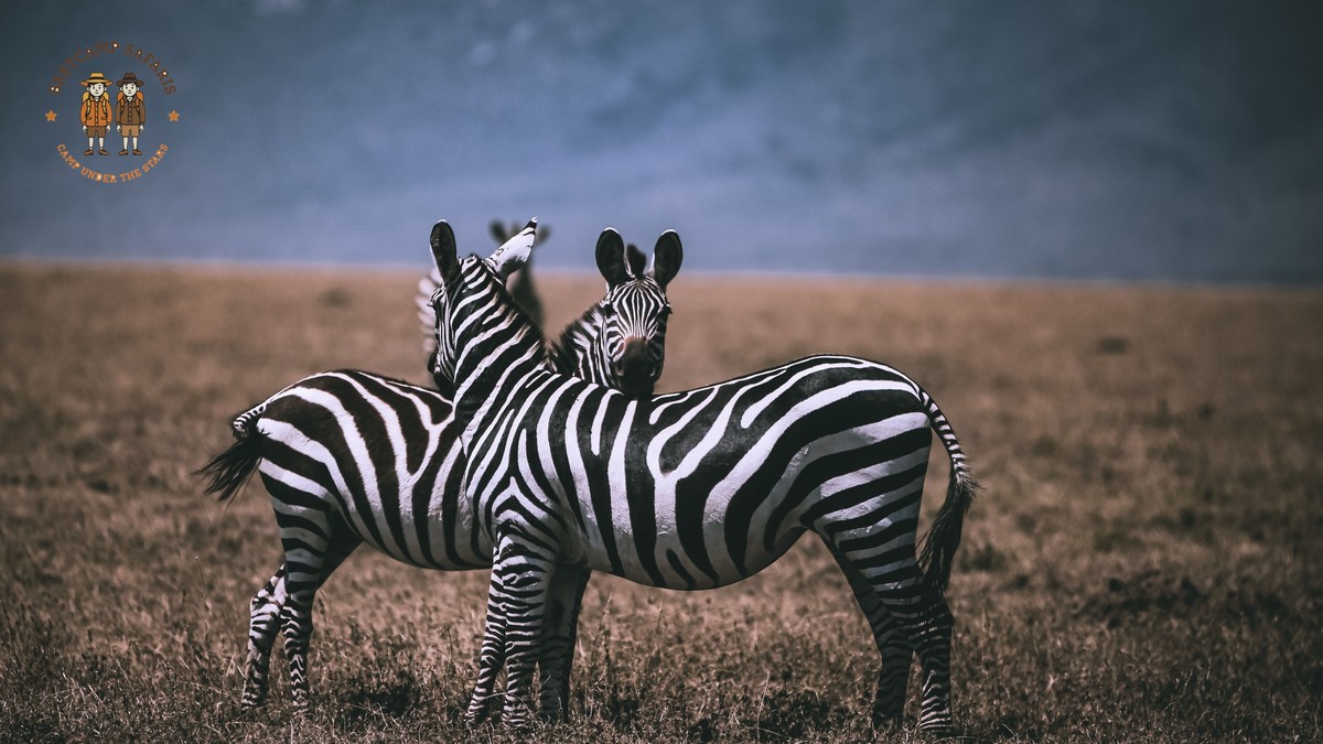 Malayalam Speaking Travelers Kenya Safari: 2026 Planning Guide