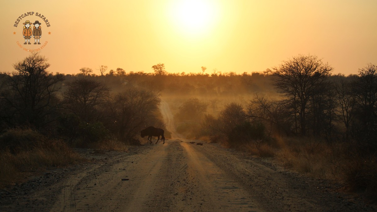 Masai Mara Is Migration Visible Offseason: Best Months - photo 1