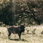 Mount Kenya Safari Combo Trek: A Repeat Visitor's Guide