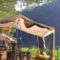 how do safari camps manage jet lag: 7 Easy Fixes -- Photo by Mai In May on Pexels