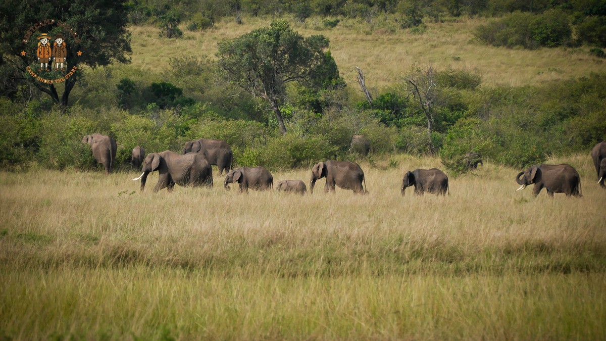 Kenya Safari Planning Timeline Checklist Months