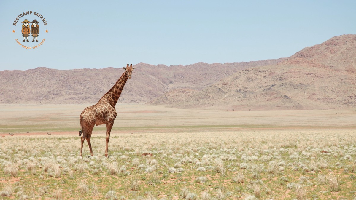 Is a safari tent private at night: Privacy and Safety - photo 2