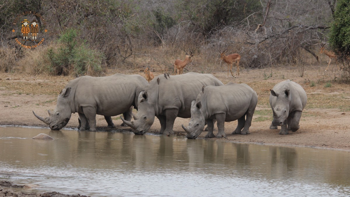 Samburu Is Safe for Children: 7 Family Safety Tips -- Photo by Kyle Lusted on Pexels