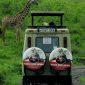 Scottish Gaelic Speaking Travelers Safari: A Kenya Guide