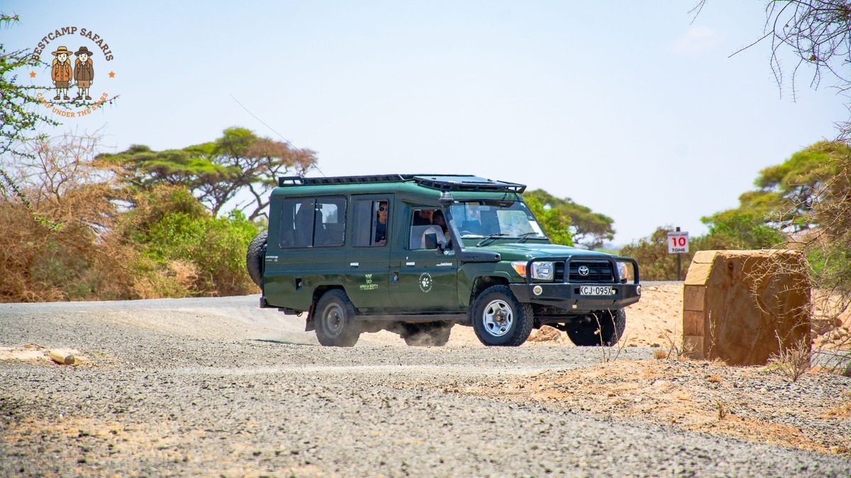 Self-Drive vs Guided Safari Safety: Kenya Comparison