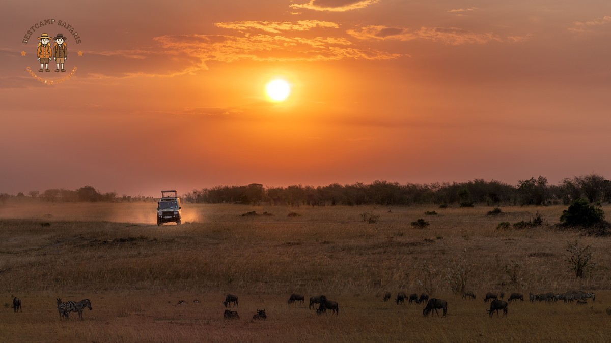 Sranan Tongo Travelers Kenya Safari: Your Complete Guide