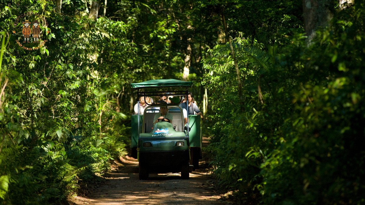 Summer School Holiday Safari Kenya: A Family Planning Guide - photo 1