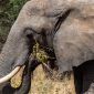 Sundanese Speaking Travelers Kenya Safari: 2026 Guide
