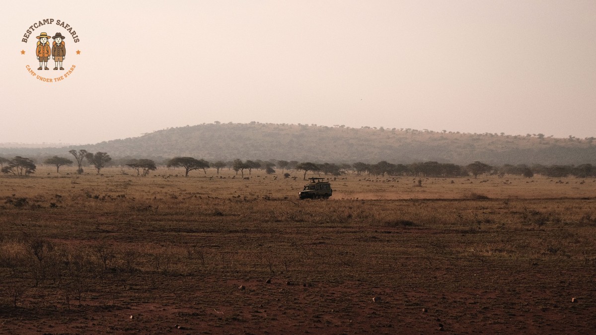 Sundowner Drinks Tradition on Safari in Kenya, Explained - photo 2