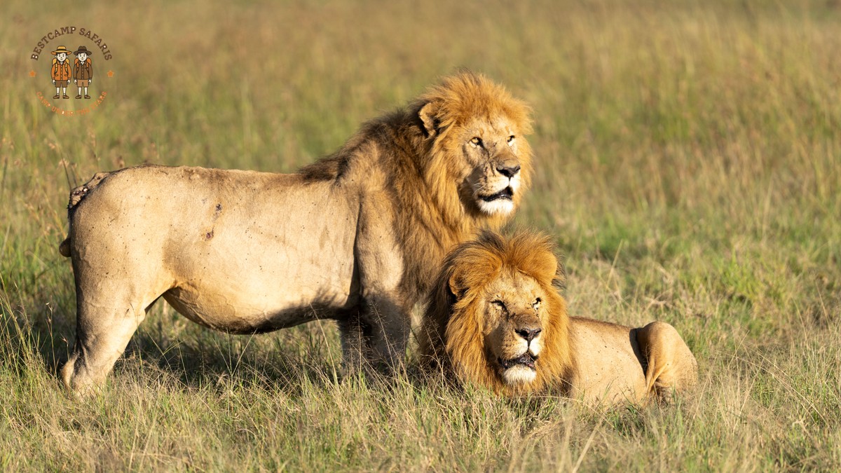 Swahili Phrases for a Safari Trip (From a Guide) - photo 2