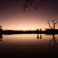 Tent Privacy Honeymoon Safari Camp: The Honest Truth