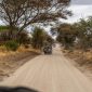 Tsonga Speaking Parents Family Safari: Kenya Guide