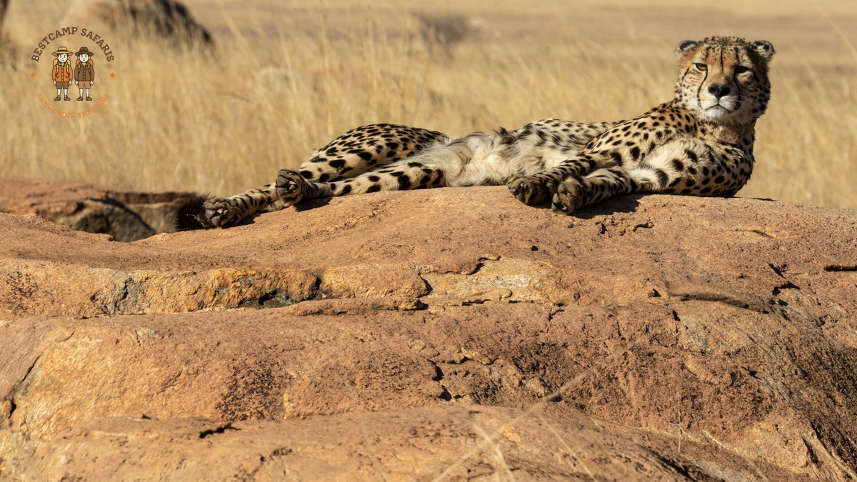 What Happens If Rains on Safari? Kenya Rain Guide - photo 1