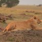 Where to Go After Masai Mara: A Repeat Visitor's Guide